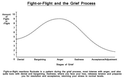 22. The Grief Process, Denial, Bargaining and Mental Fitness