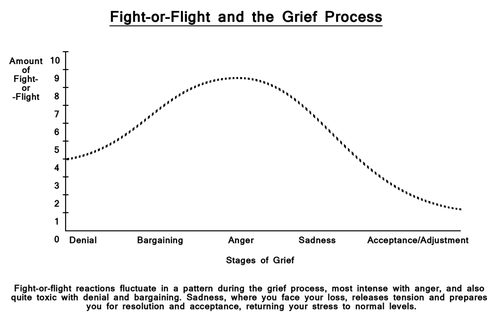 22. The Grief Process, Denial, Bargaining and Mental Fitness